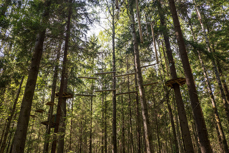绳索极限公园吸引儿童爬树吊绳公园图片