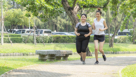 健身运动两个苗条身材的胖女孩穿着时尚运动服在花园早晨跑图片