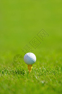 果岭上的高尔夫球背景图片