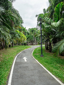 道路走道和运图片