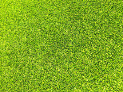 现代绿色草坪纹理背景工图片
