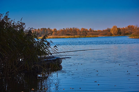 秋天在芦苇湖上乘船的渔夫图片