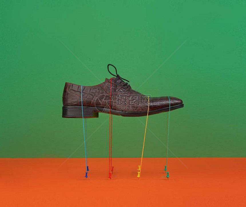 时尚男子的鳄鱼皮鞋由绿形背图片