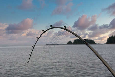 一条钓鱼杆与一条图片