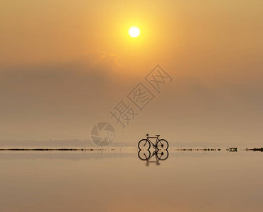 水上自行车与太阳反射图片