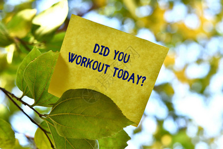 文字写作文本你今天锻炼了吗商业照片展示询问是否进行了体育锻炼一张方纸用于在阳光明媚的日子下在树背景图片