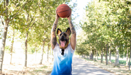 戴狗面具和篮球的男人图片