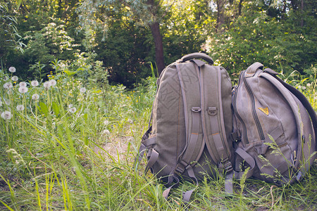 森林里绿草上的两个旅游背包旅行和积极生图片