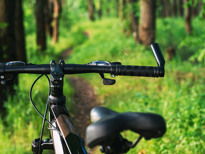 在美丽的森林道路上骑自行车积极生活方式图片