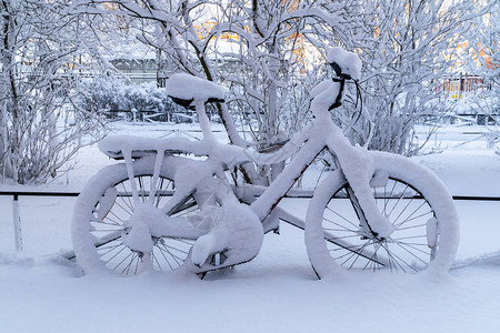 在克伦施塔特院落下大雪后仍然有雪盖着的图片