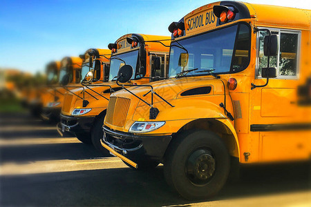 黄色公立学校公共汽车前端的低角度视图图片