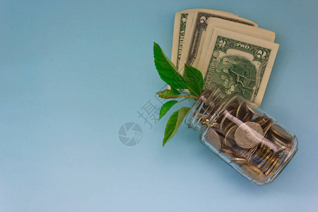 玻璃罐中的美元钞票有许多硬币和树叶生长在硬币玻璃罐中种植物图片