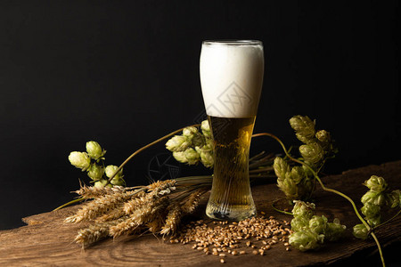 啤酒啤酒生产原料和小麦的玻图片