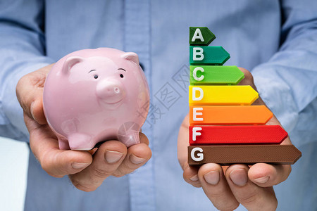 一个人的手拿着粉红色的存钱罐和五颜六色的能源效率图片