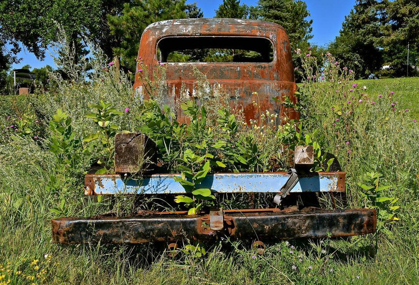 一辆由杂草包围的旧小卡车了后图片