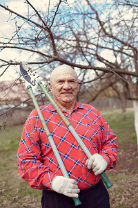 村花园里的男农民砍树枝图片