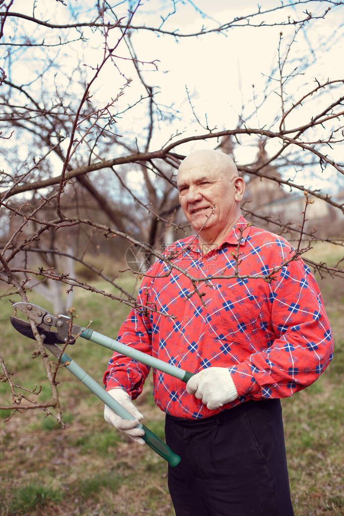 村花园修剪树枝的男农民图片