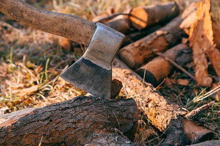 木柴和切肉刀和很多木柴树木森林分裂切割燃料工作工业材料原料热可再生锯图片