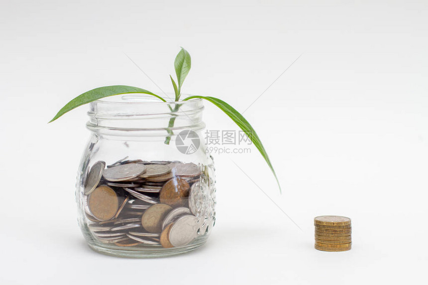 生长在玻璃存钱罐和硬币堆上的新芽从玻璃罐中的硬图片