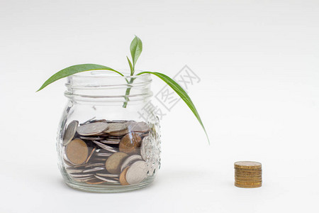 生长在玻璃存钱罐和硬币堆上的新芽从玻璃罐中的硬图片