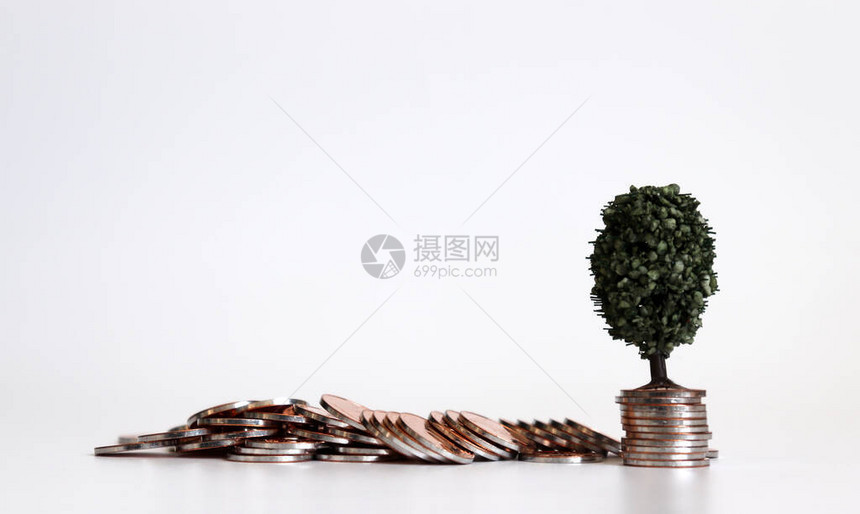 硬币堆上的一棵微型树图片