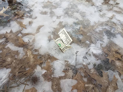 一美元钞票在滑冰和寒冷厚的冰面上冬图片