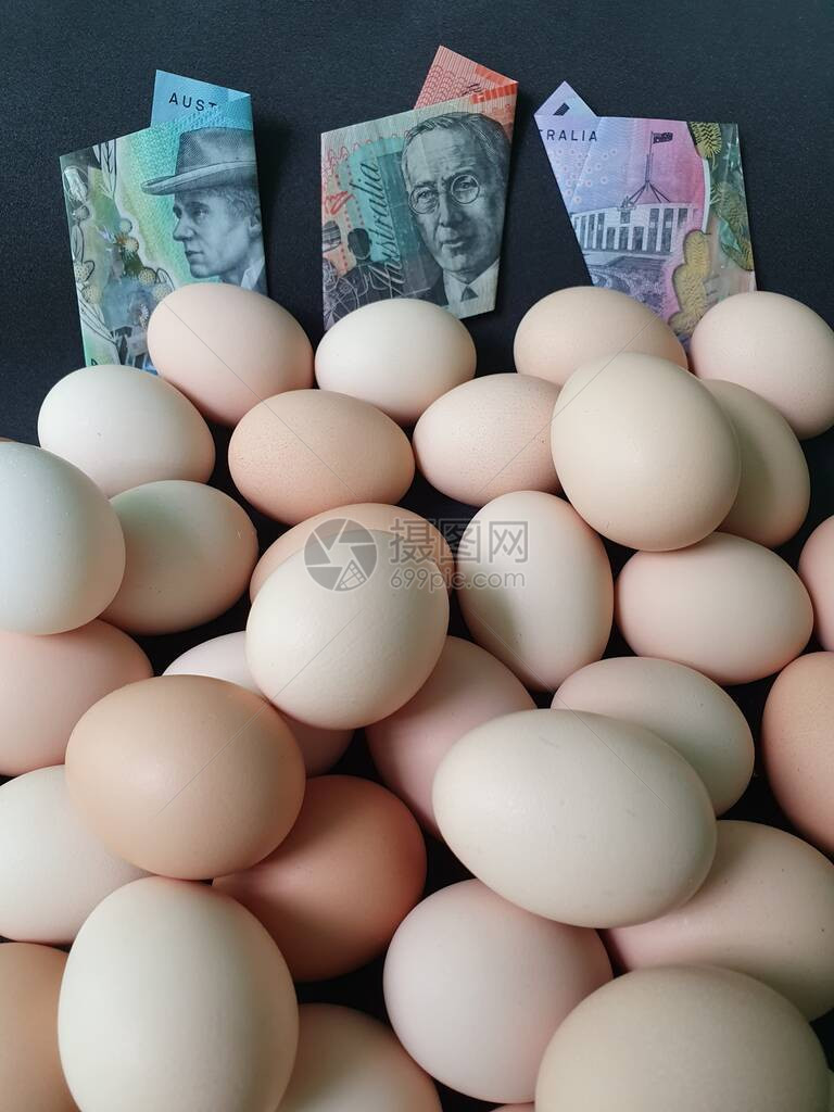 鸡蛋奥地利钞票和大量有机鸡蛋的消费和生产成本图片