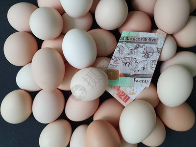鸡蛋消费和生产成本价格20美元的比利时钞票和有机鸡蛋的丰图片