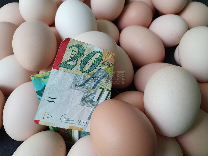 鸡蛋的消费和生产成本价格20谢克尔的以色列钞票和图片