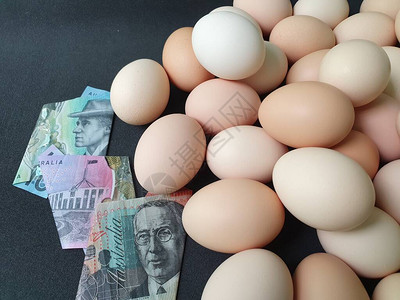 鸡蛋奥地利钞票和大量有机鸡蛋的消费和生产成本图片