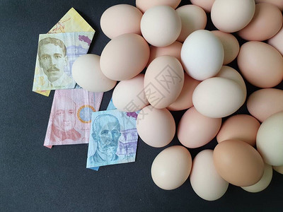 鸡蛋哥斯达黎加钞票和大量有机鸡蛋的消费和生产成本价格图片