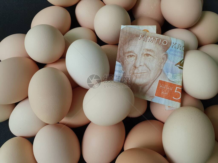 鸡蛋消费和生产成本价格50克朗瑞典钞票和大量有机鸡图片