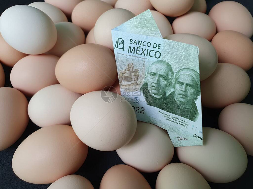 鸡蛋墨西哥钞票200比索和有机鸡蛋的消费和生产成本图片