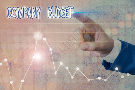 文字书写文本公司预算展示特定时期财务计划的商业照片图片