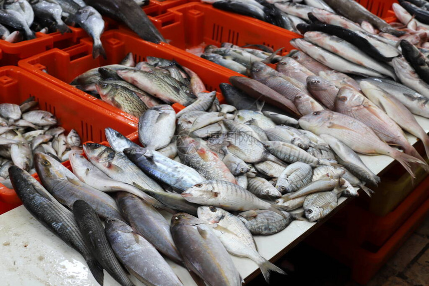 在以色列北部Acre海港的集市出售新鲜海鱼和螃蟹图片