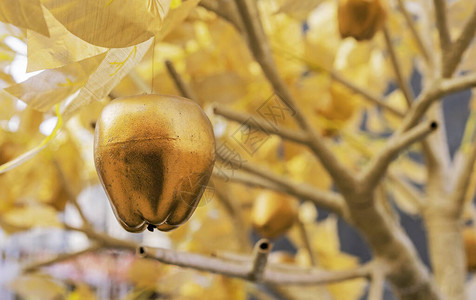 金苹果在一棵神话般的树枝上背景图片