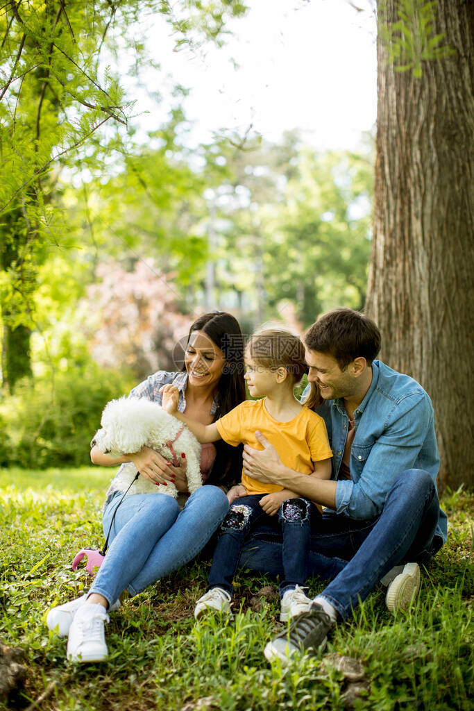 美丽的幸福家庭在树下的公园里和野外的饼干图片