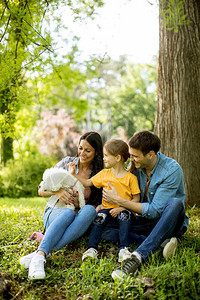 美丽的幸福家庭在树下的公园里和野外的饼干图片