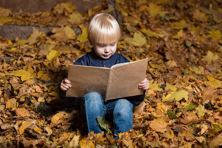 金发男孩在秋天的森林里坐在落叶上看书肖像图片