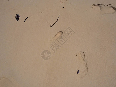 背景的海滩上的脚印图片