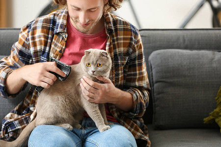 在家刷可爱逗猫的男人图片