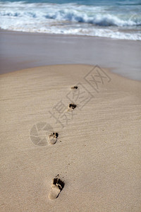 沙滩上的脚印在海滩上葡萄图片