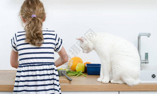 小女孩和白猫在厨房做饭图片