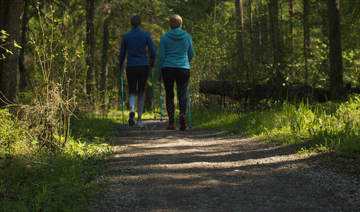 妇女在土路上用登山杖在森林中行走的北欧运动后视图积极健康的图片