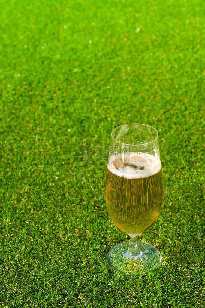 一杯金色的啤酒站在一片绿草如茵的草坪上图片