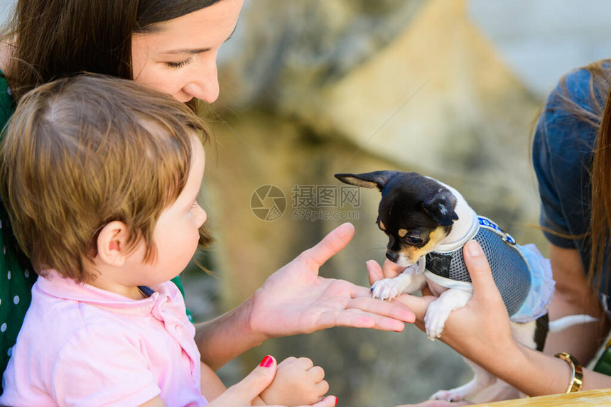 幼儿会熟悉狗孩子和动物小孩亲切地触摸他的狗儿童图片