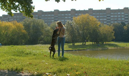 在公园里跟狗玩的年轻女人图片