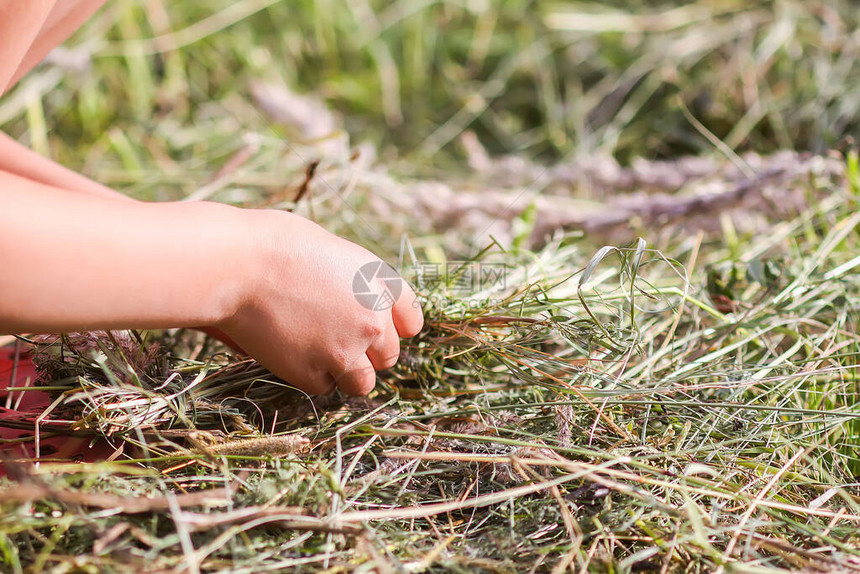 孩子在夏日草地上用干草做花圈图片