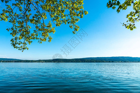 美丽的Constance湖的暑假图片