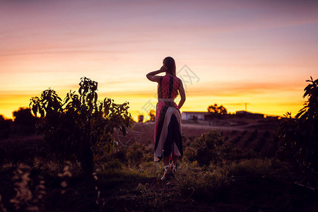 在橄榄树林里看夕阳余辉的女人背景图片